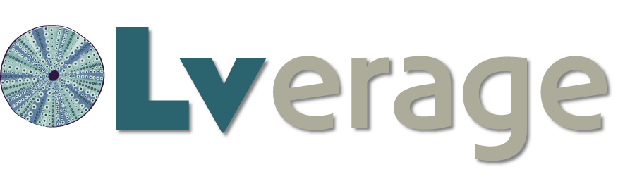 Lverage_logo